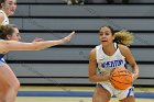 WBBall vs Wellesley  Wheaton College Women’s Basketball vs Wellesley College. - Photo By: KEITH NORDSTROM